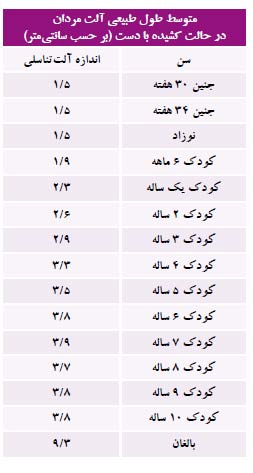 اندازه آلت مردان