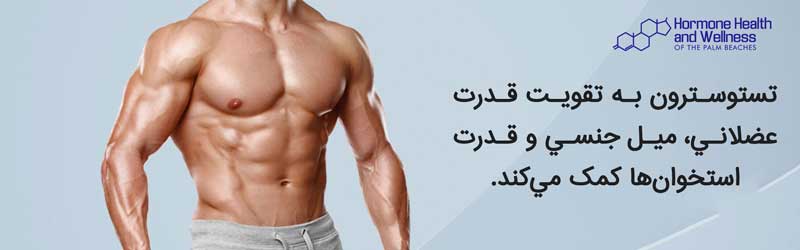 تستوسترون در مردان