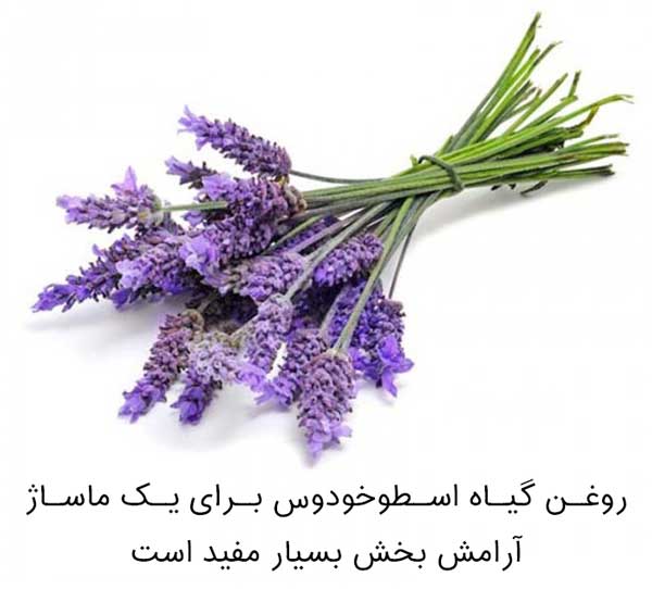 روغن اسطوخودوس