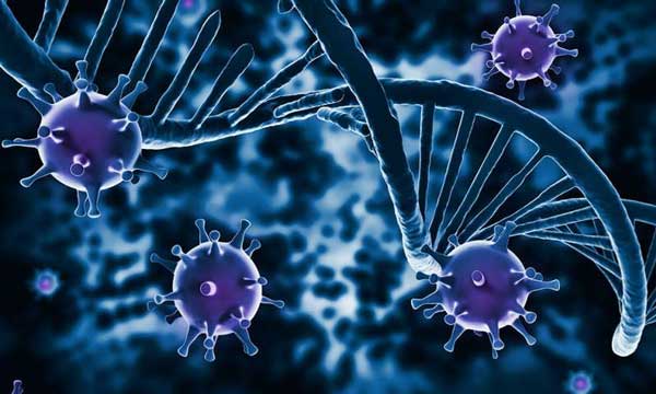 ویروس اچ ای وی hiv