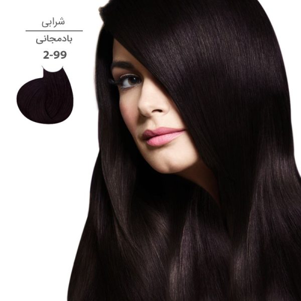 رنگ موی مارال 100 میل 2.99-بادمجانی