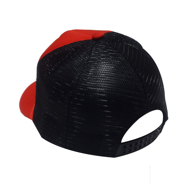 cap-pt403-2 cap pt403 2