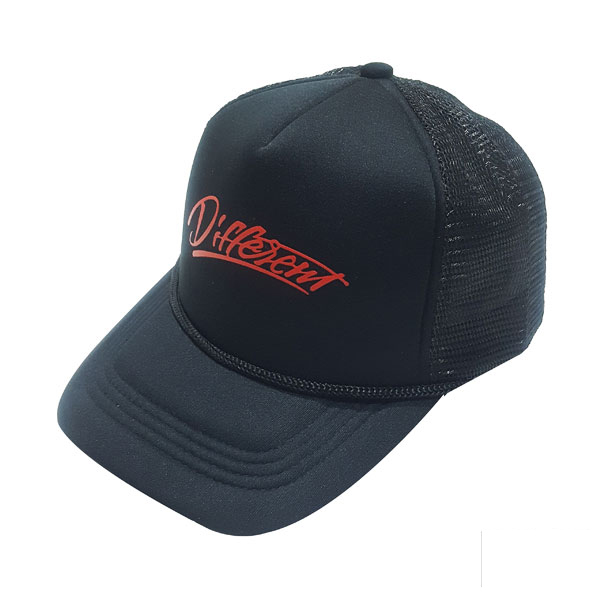 cap-pt424-1 cap pt424 1