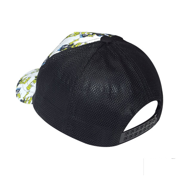 cap-pt431-2 cap pt431 2