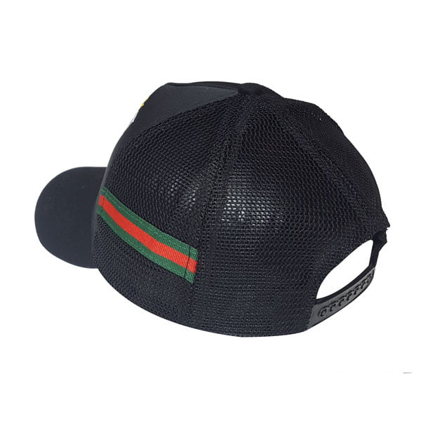 cap-pt439-2 cap pt439 2