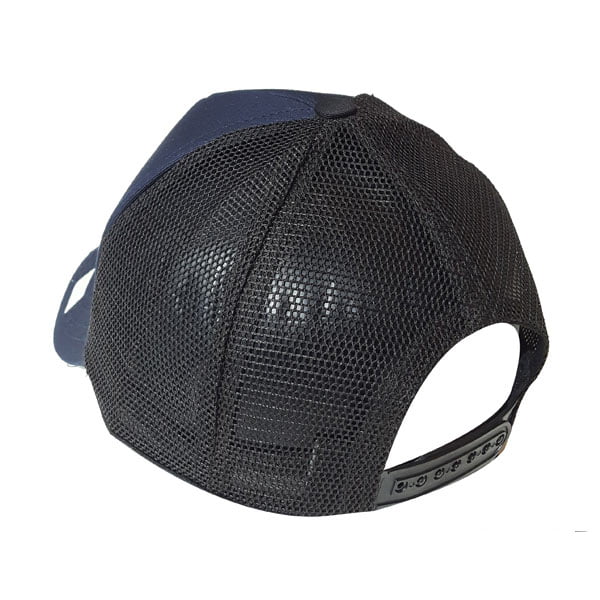 cap-pt444-2 cap pt444 2