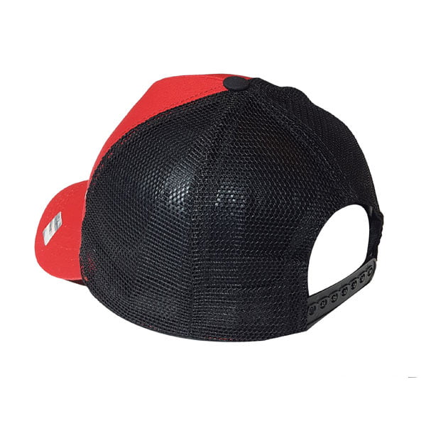 cap-pt450-1 cap pt450 1