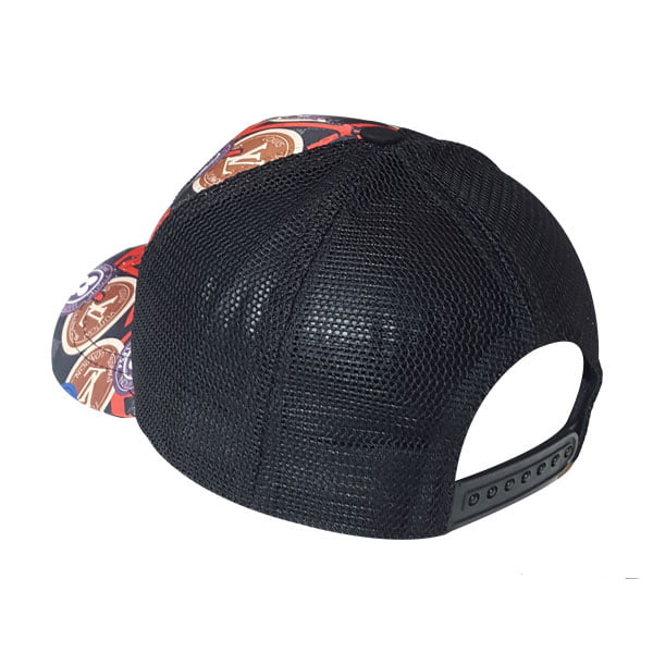 cap-pt458-2 cap pt458 2