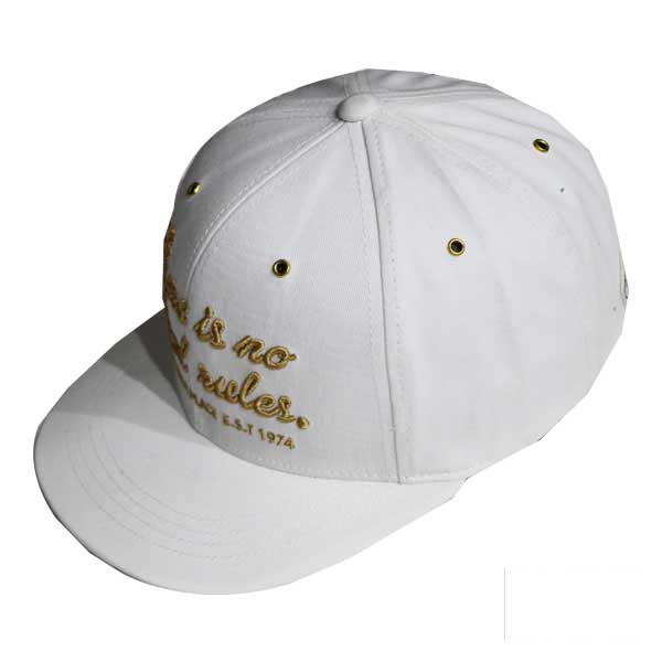 hat-cp101-1 hat cp101 1