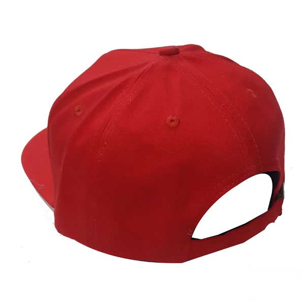 hat-cp246-2 hat cp246 2