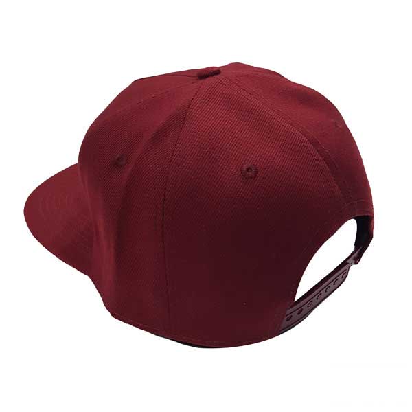 hat-cp251-2 hat cp251 2