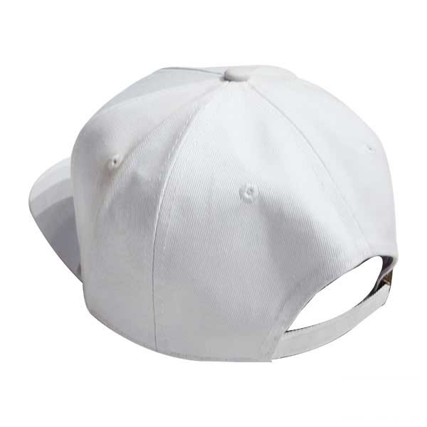 hat-cp263-1 hat cp263 1