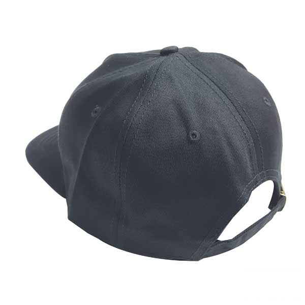 hat-cp268-2 hat cp268 2