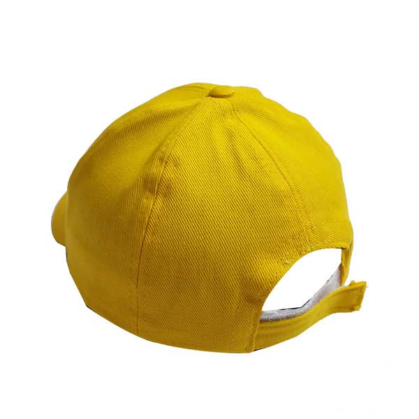 hat-bc480-2 hat bc480 2